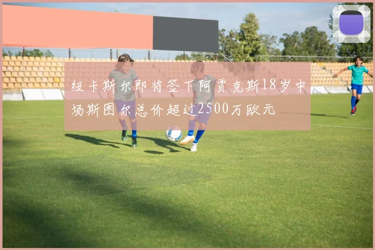 纽卡斯尔即将签下阿贾克斯18岁中场斯图尔总价超过2500万欧元