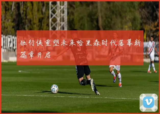 独行侠重塑未来哈里森时代落幕新篇章开启